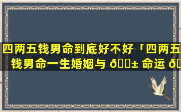 四两五钱男命到底好不好「四两五钱男命一生婚姻与 🐱 命运 🐺 详解」